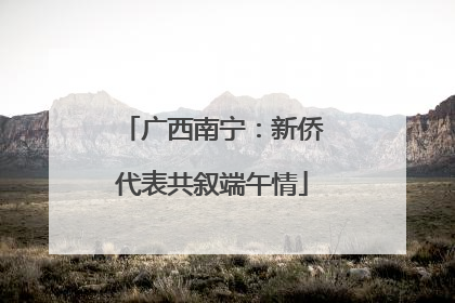 广西南宁：新侨代表共叙端午情