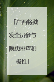 广西将激发全员参与隐患排查积极性