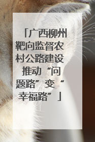广西柳州靶向监督农村公路建设 推动“问题路”变“幸福路”