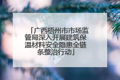 广西梧州市市场监管局深入开展建筑保温材料安全隐患全链条整治行动