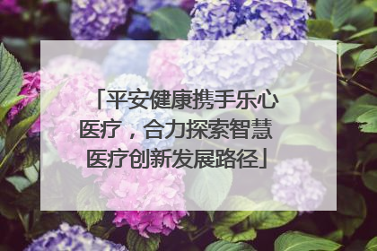 平安健康携手乐心医疗，合力探索智慧医疗创新发展路径