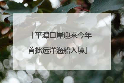 平潭口岸迎来今年首批远洋渔船入境