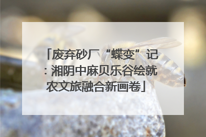 废弃砂厂“蝶变”记：湘阴中麻贝乐谷绘就农文旅融合新画卷