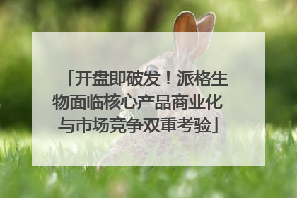 开盘即破发！派格生物面临核心产品商业化与市场竞争双重考验