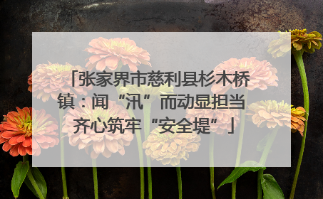 张家界市慈利县杉木桥镇：闻“汛”而动显担当 齐心筑牢“安全堤”