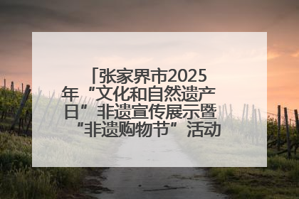 张家界市2025年“文化和自然遗产日”非遗宣传展示暨“非遗购物节”活动在慈利县盛大启幕