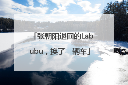 张朝阳退回的Labubu，换了一辆车