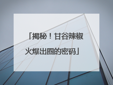 揭秘！甘谷辣椒火爆出圈的密码
