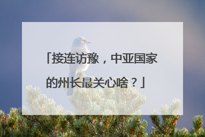 接连访豫，中亚国家的州长最关心啥？