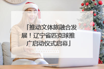 推动文体旅融合发展！辽宁省匹克球推广启动仪式启幕