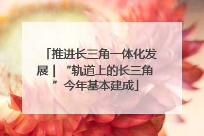 推进长三角一体化发展｜“轨道上的长三角”今年基本建成