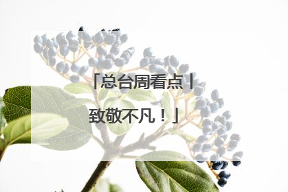 总台周看点丨致敬不凡！