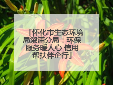 怀化市生态环境局溆浦分局：环保服务暖人心 信用帮扶伴企行