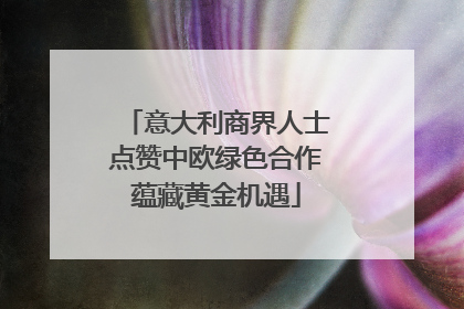 意大利商界人士点赞中欧绿色合作蕴藏黄金机遇