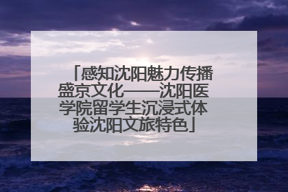 感知沈阳魅力传播盛京文化——沈阳医学院留学生沉浸式体验沈阳文旅特色