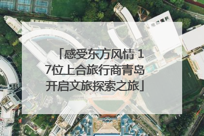 感受东方风情 17位上合旅行商青岛开启文旅探索之旅
