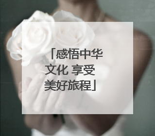 感悟中华文化 享受美好旅程