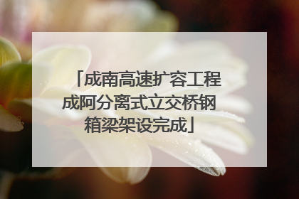 成南高速扩容工程成阿分离式立交桥钢箱梁架设完成