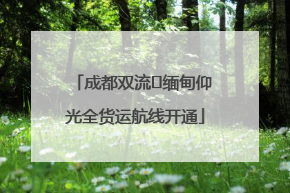 成都双流⇌缅甸仰光全货运航线开通