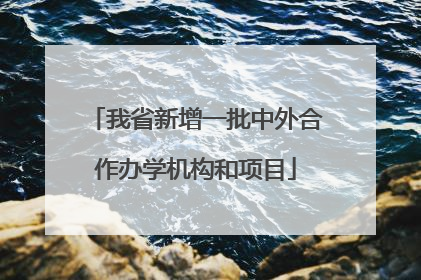 我省新增一批中外合作办学机构和项目