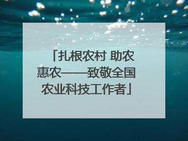 扎根农村 助农惠农——致敬全国农业科技工作者