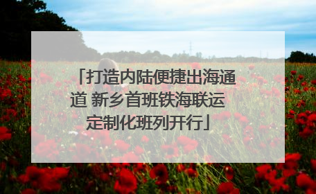 打造内陆便捷出海通道 新乡首班铁海联运定制化班列开行
