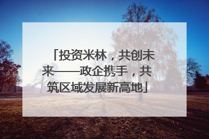 投资米林，共创未来——政企携手，共筑区域发展新高地