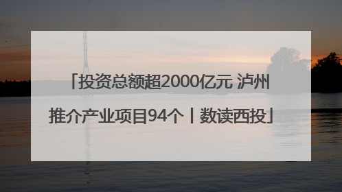 投资总额超2000亿元 泸州推介产业项目94个丨数读西投