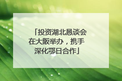 投资湖北恳谈会在大阪举办，携手深化鄂日合作