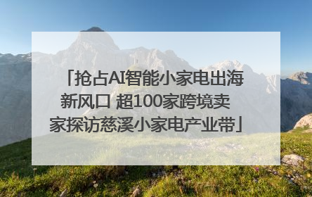 抢占AI智能小家电出海新风口 超100家跨境卖家探访慈溪小家电产业带