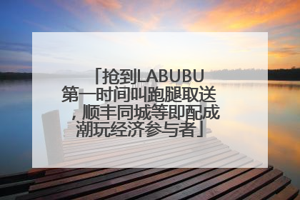 抢到LABUBU第一时间叫跑腿取送，顺丰同城等即配成潮玩经济参与者