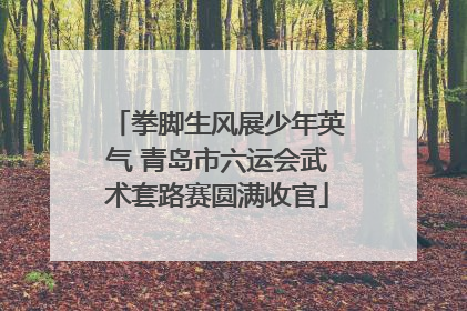 拳脚生风展少年英气 青岛市六运会武术套路赛圆满收官