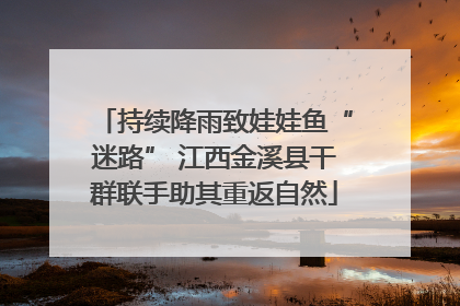 持续降雨致娃娃鱼“迷路” 江西金溪县干群联手助其重返自然