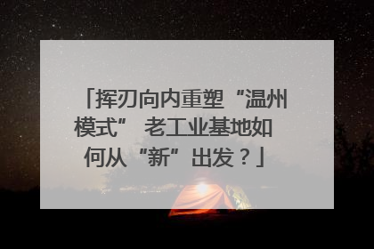 挥刃向内重塑“温州模式” 老工业基地如何从“新”出发？
