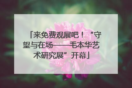 来免费观展吧！“守望与在场——毛本华艺术研究展”开幕