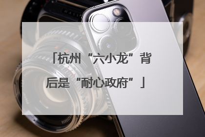 杭州“六小龙”背后是“耐心政府”