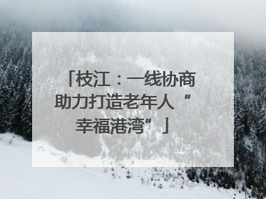 枝江：一线协商助力打造老年人“幸福港湾”