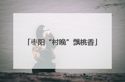 枣阳“村晚”飘桃香