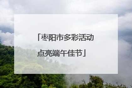 枣阳市多彩活动点亮端午佳节