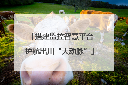 搭建监控智慧平台 护航出川“大动脉”