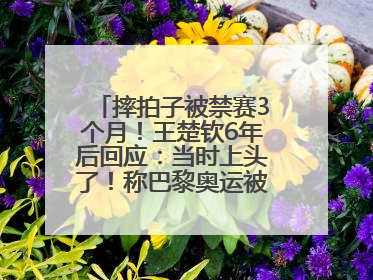 摔拍子被禁赛3个月！王楚钦6年后回应：当时上头了！称巴黎奥运被孙颖莎带着打，搭档8年“一个眼神就能懂”