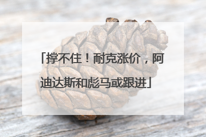 撑不住！耐克涨价，阿迪达斯和彪马或跟进