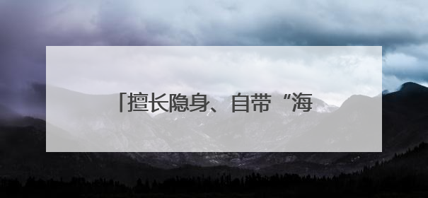 擅长隐身、自带“海狸尾” 彩虹-7无人机究竟有多牛？