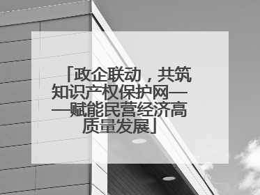 政企联动，共筑知识产权保护网——赋能民营经济高质量发展