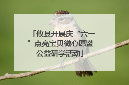 攸县开展庆“六一”点亮宝贝微心愿暨公益研学活动