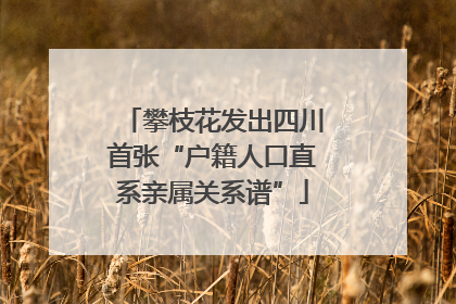 攀枝花发出四川首张“户籍人口直系亲属关系谱”
