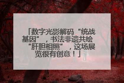 数字光影解码“统战基因”，书法非遗共绘“肝胆相照”，这场展览很有创意！