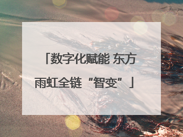 数字化赋能 东方雨虹全链“智变”