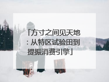 方寸之间见天地：从特区试验田到提振消费引擎