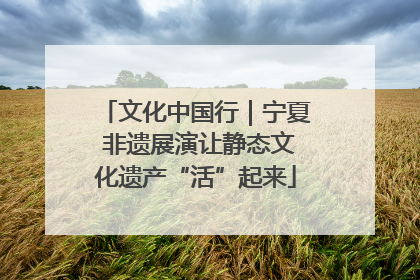 文化中国行｜宁夏 非遗展演让静态文化遗产“活”起来